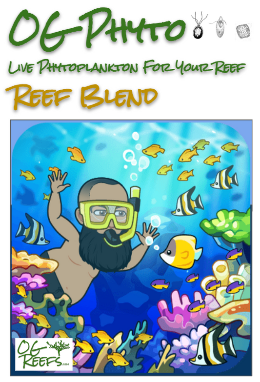 OG Phyto Reef Blend